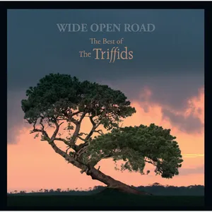 Wide open road : the best of the Triffids